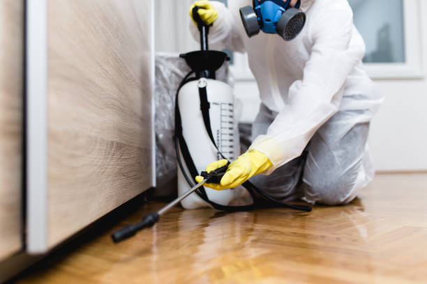 Best Wasp Removal Services  in Midland, TX
