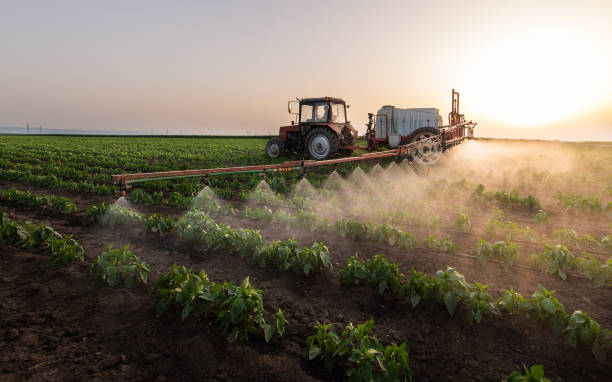 Best Pest Prevention Services  in Midland, TX