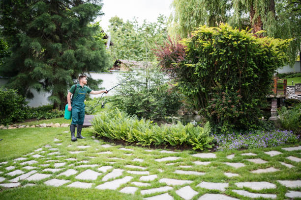 Best Best Pest Control Companies  in Midland, TX