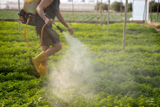 Best Mosquito Control Services  in Midland, TX