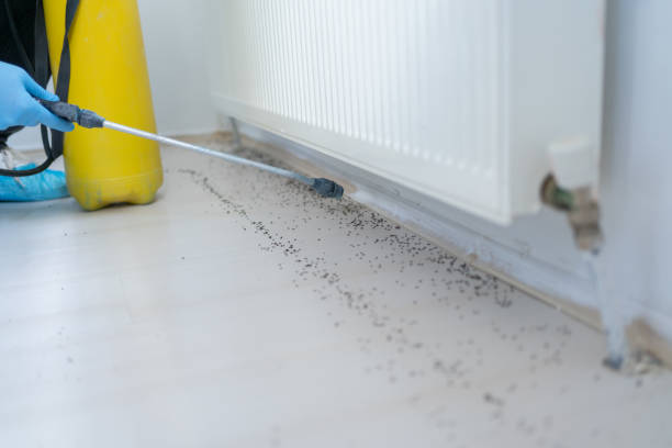 Best Rat Extermination Near Me  in Midland, TX