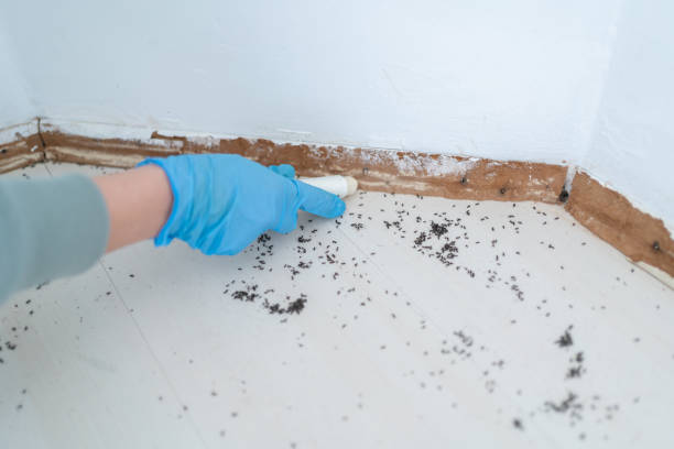 Best Commercial Pest Control Services  in Midland, TX