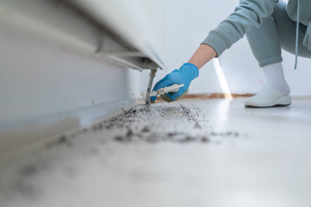 Best Pest Control Near Me in Midland, TX