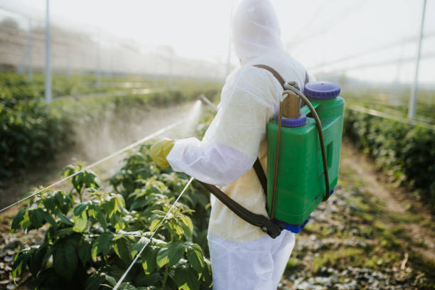 Best Pest Control Near Me  in Midland, TX